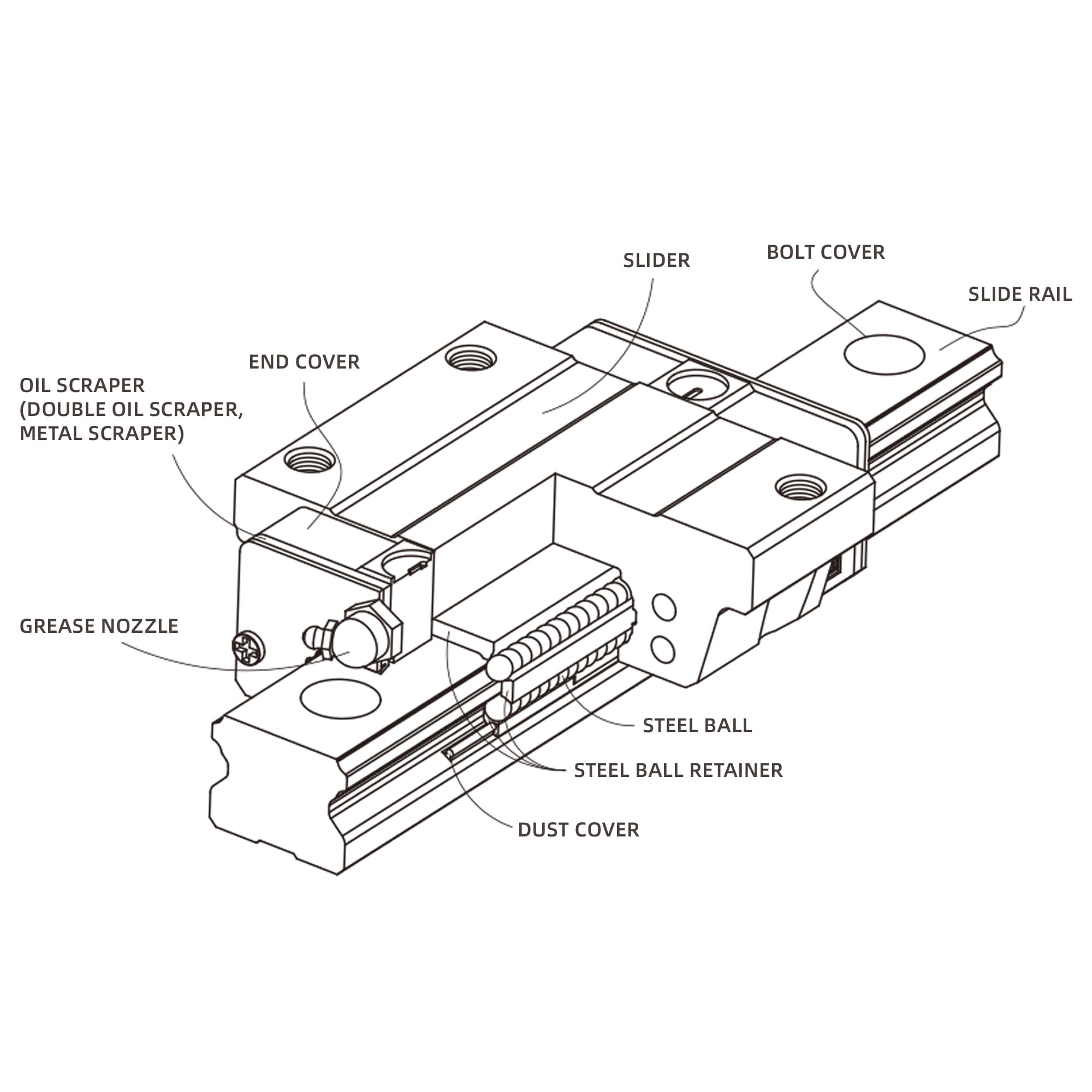 Structures of LM Guides