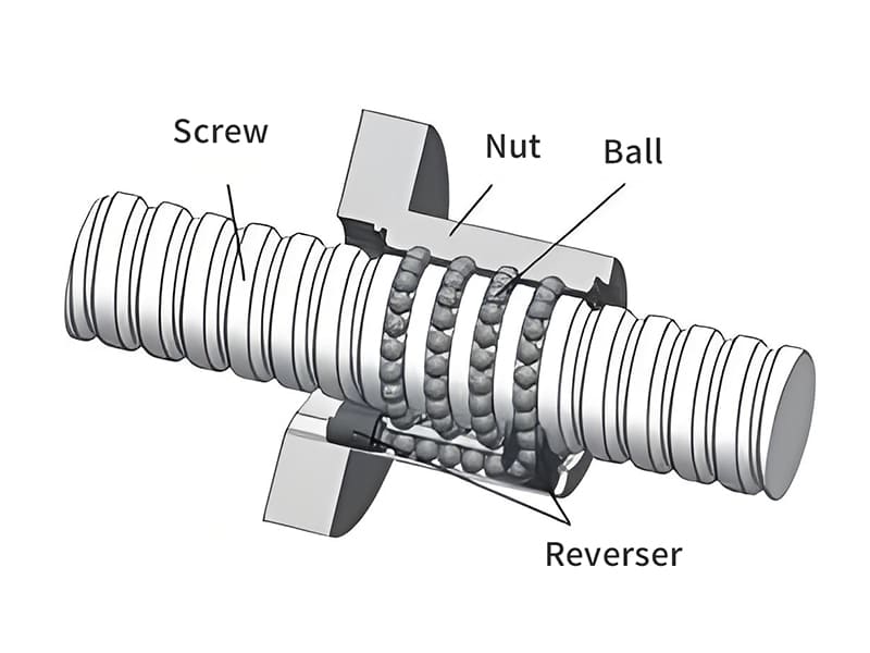 Structures of FFA Linear Motion Screw