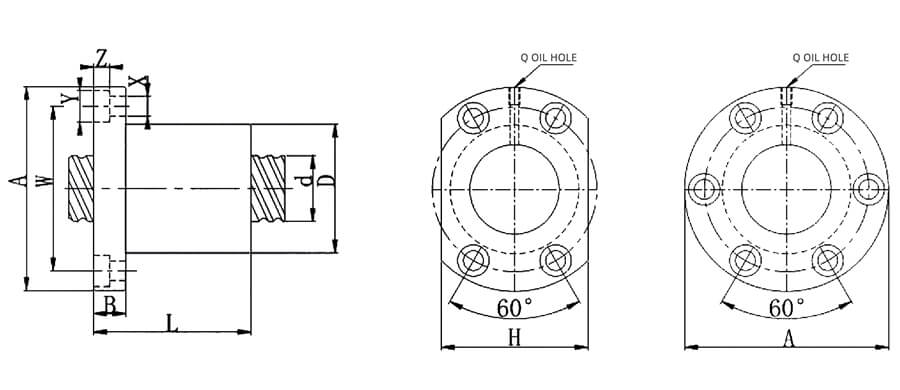 Structures of NSFNI Screw Nut